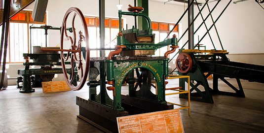 A Tea Factory in Kandy Sri Lanka