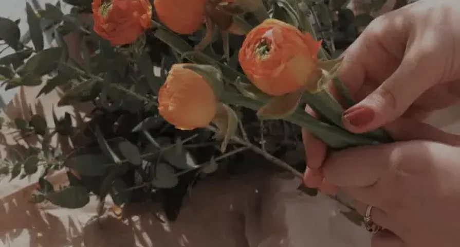 Leaves & Petals