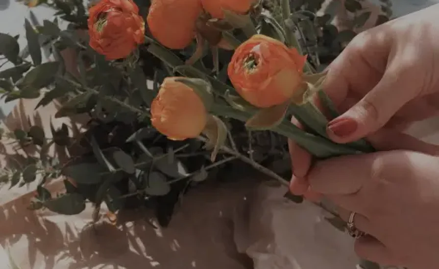 Leaves & Petals